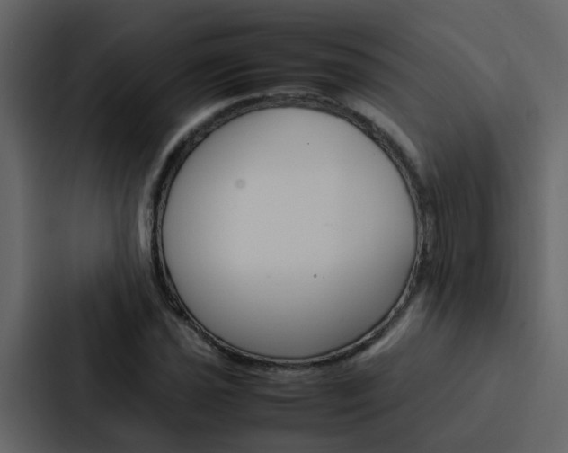 X0000088151021200705141047