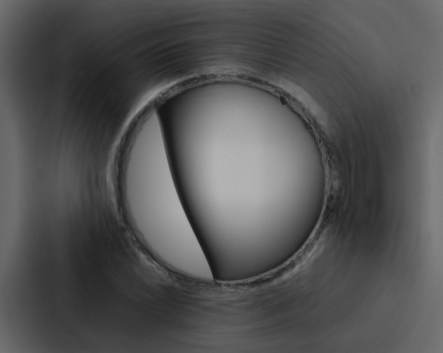 X0000088151022200705141047