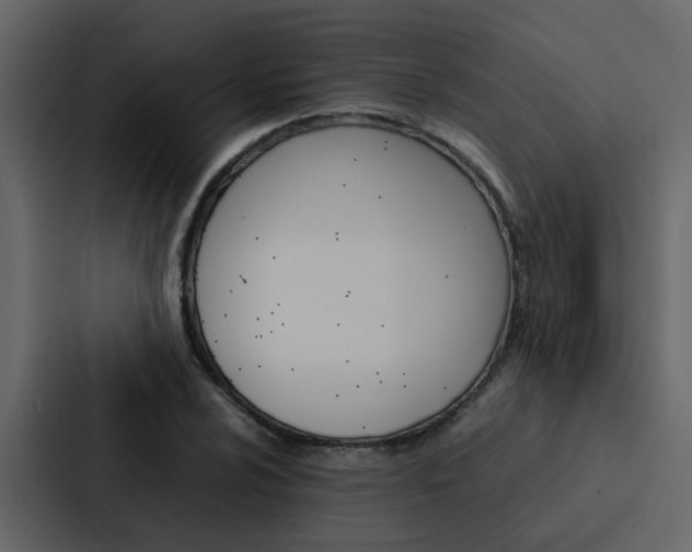 X0000088151024200705141047