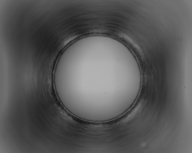 X0000088151025200705141047