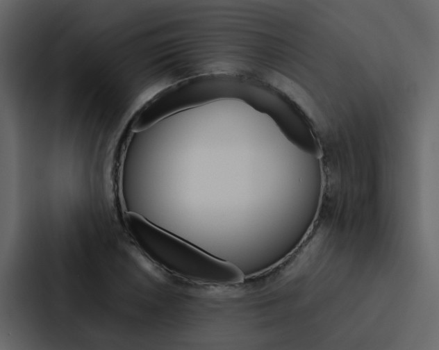X0000088151026200705141047