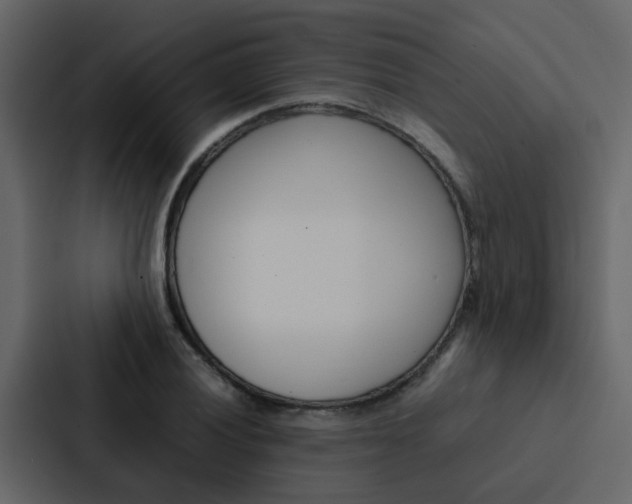 X0000088151028200705141047