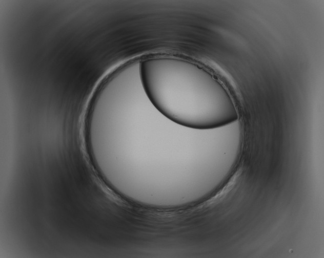 X0000088151029200705141047