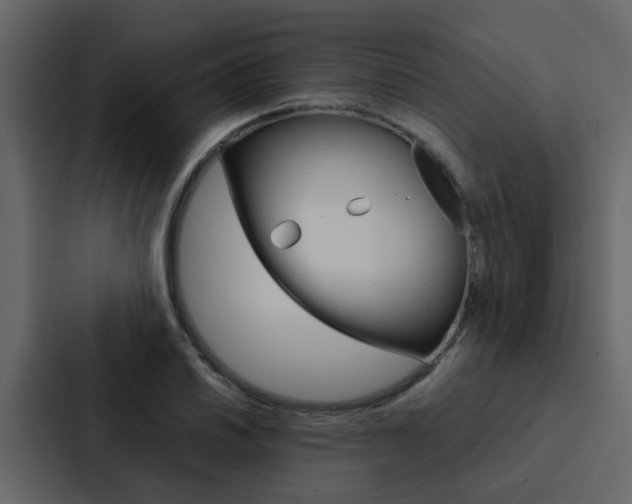 X0000088151030200705141047