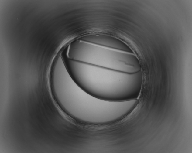 X0000088151034200705141047