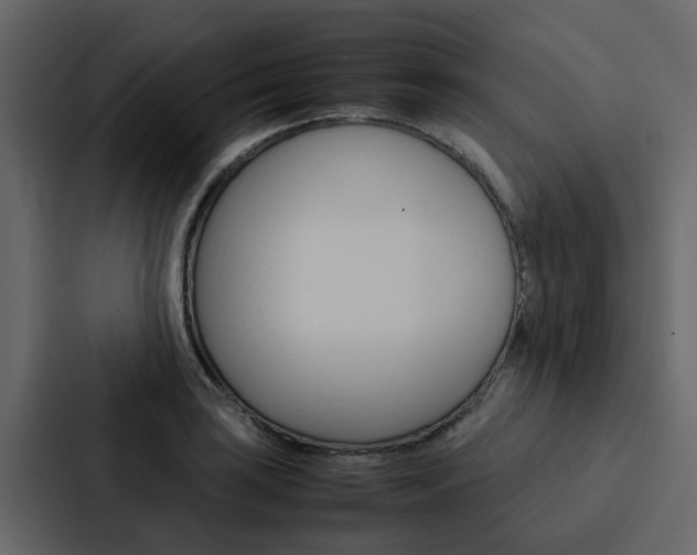 X0000088151035200705141047