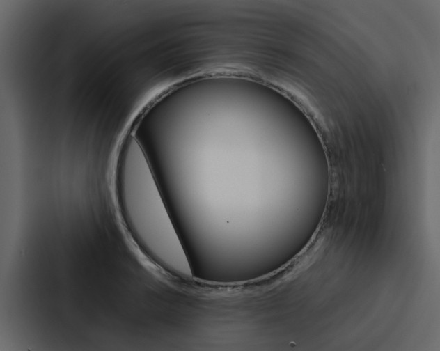 X0000088151038200705141047