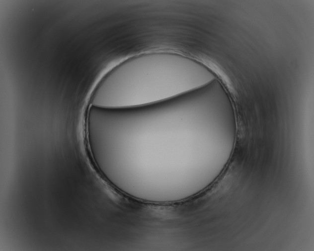 X0000088151040200705141047