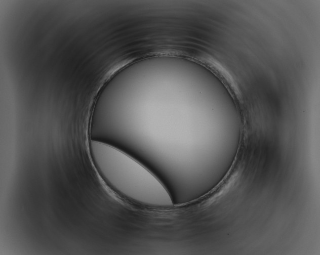 X0000088151041200705141047