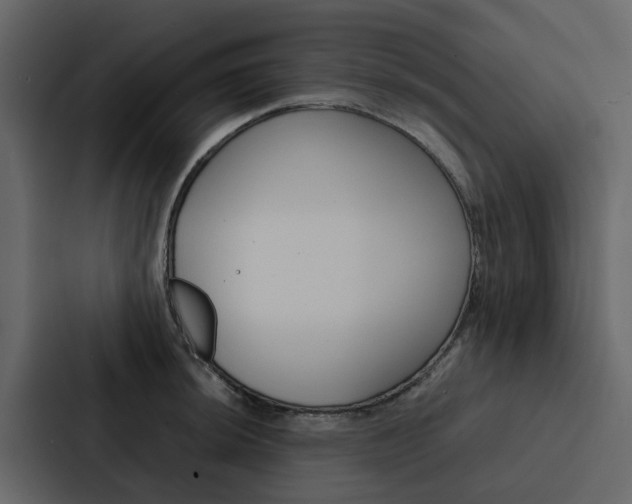 X0000088151044200705141047