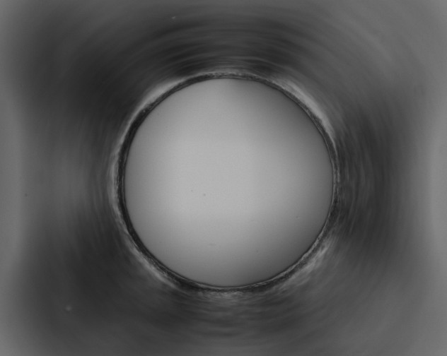 X0000088151045200705141047