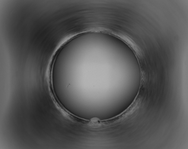 X0000088151046200705141047