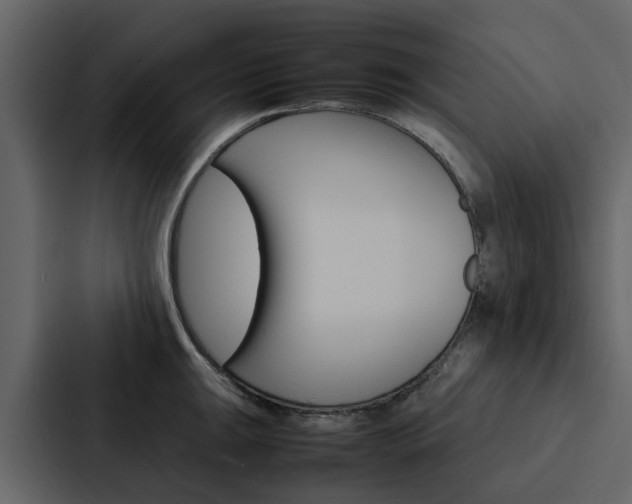X0000088151047200705141047