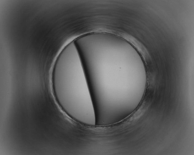 X0000088151048200705141047