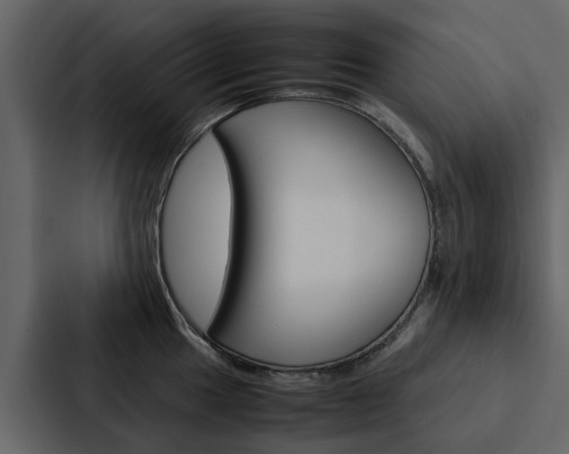 X0000088151049200705141047