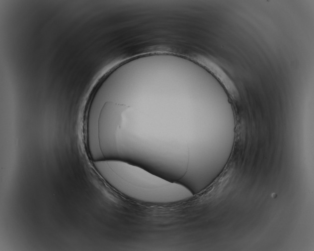 X0000088151051200705141047