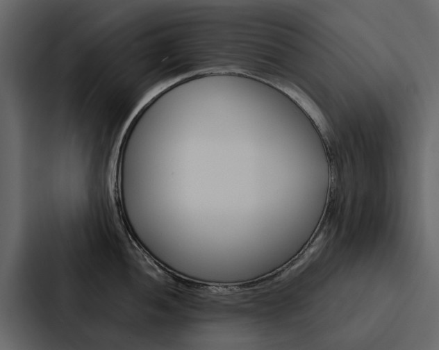 X0000088151052200705141048