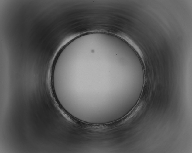 X0000088151053200705141048