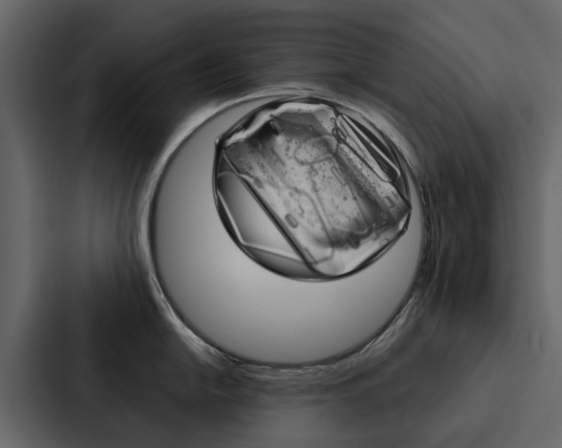 X0000088151054200705141048