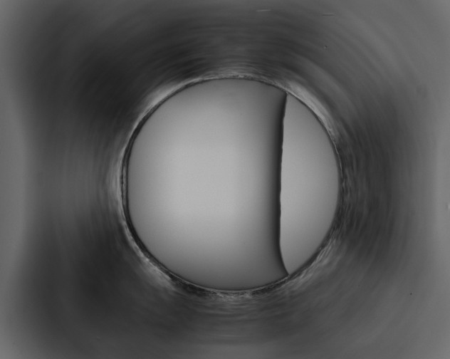 X0000088151055200705141048