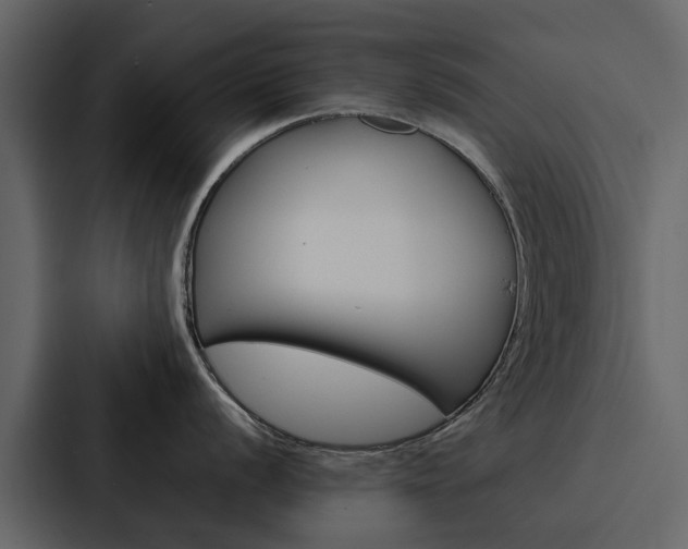 X0000088151056200705141048
