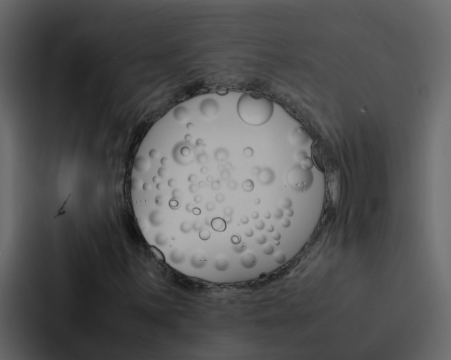 X0000088151059200705141047