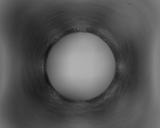 X0000088151060200705141047