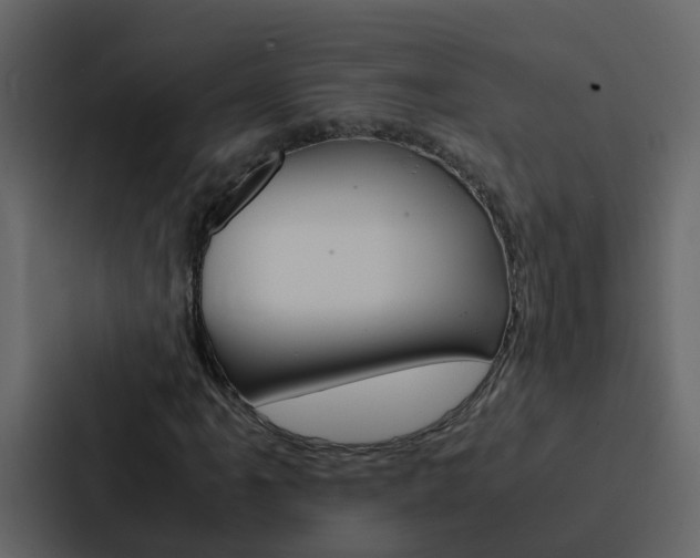 X0000088151061200705141047