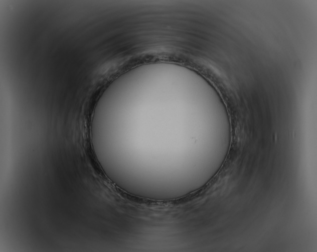 X0000088151062200705141047