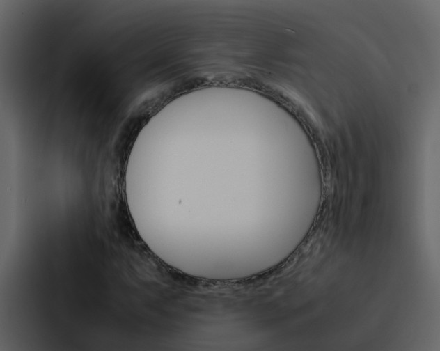 X0000088151063200705141047