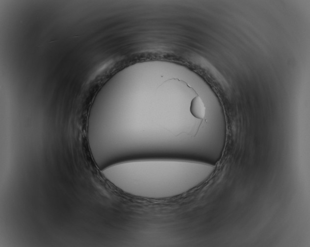 X0000088151064200705141047