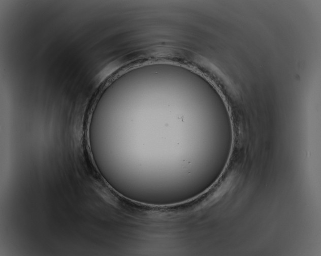 X0000088151065200705141047