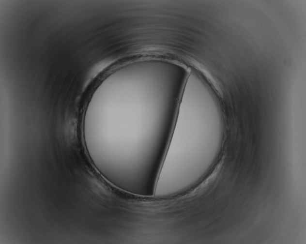X0000088151066200705141047