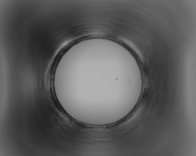 X0000088151067200705141047