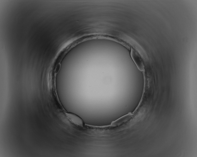 X0000088151069200705141047