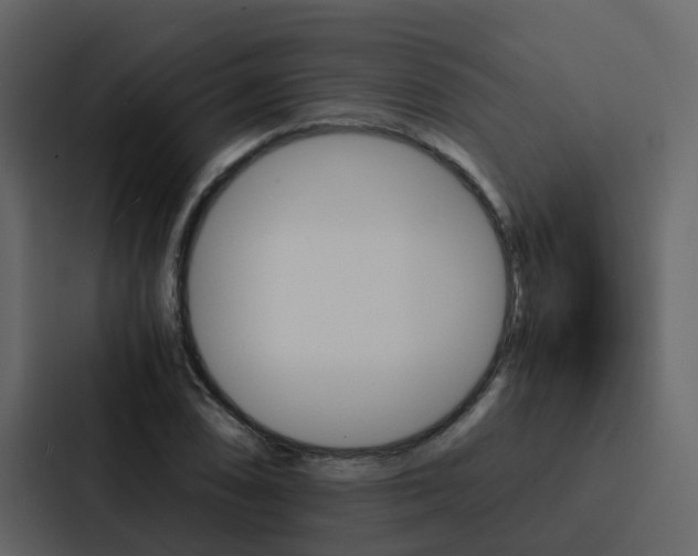 X0000088151074200705141047