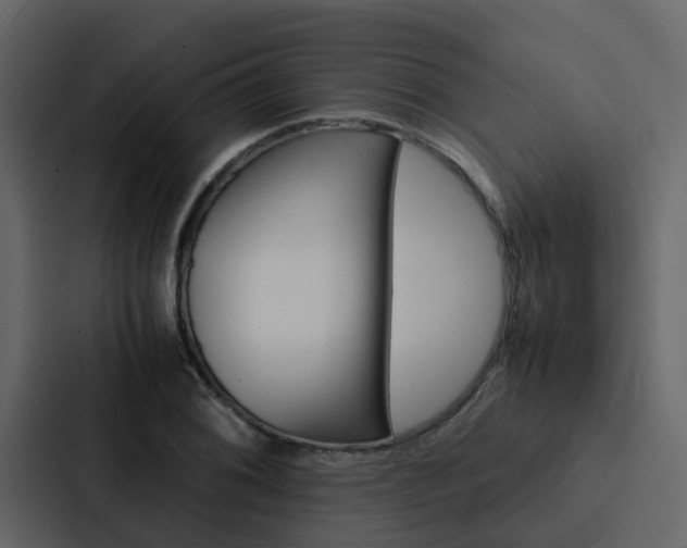 X0000088151076200705141047