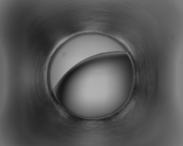 X0000088151077200705141047
