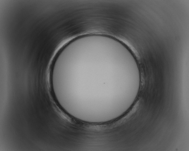 X0000088151078200705141047