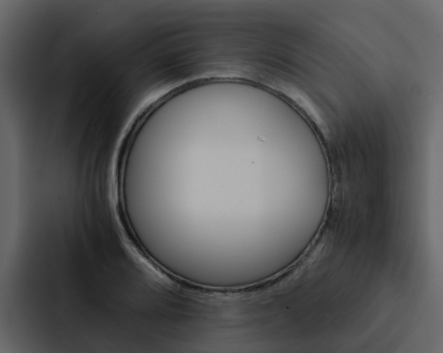 X0000088151080200705141047