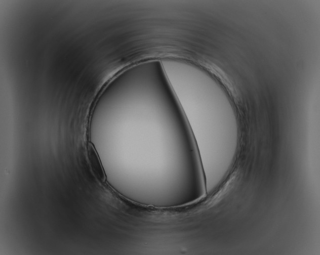 X0000088151081200705141047