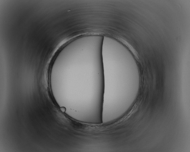 X0000088151083200705141047