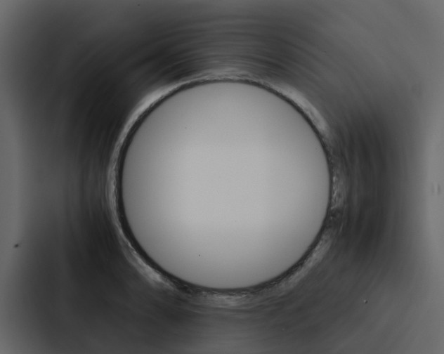 X0000088151086200705141047