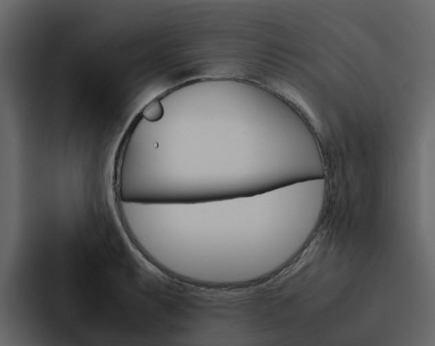 X0000088151087200705141047