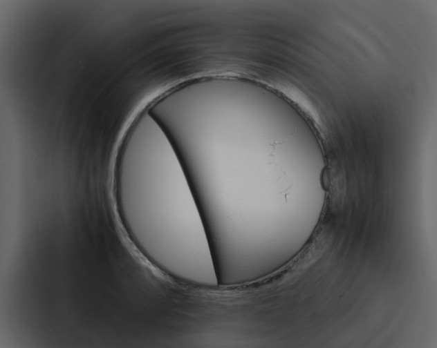 X0000088151088200705141047