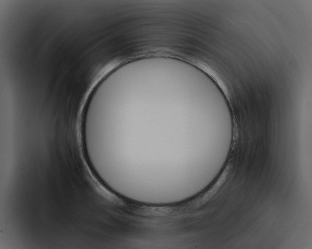 X0000088151090200705141047