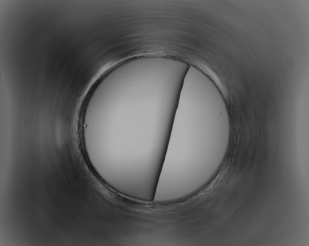 X0000088151091200705141046