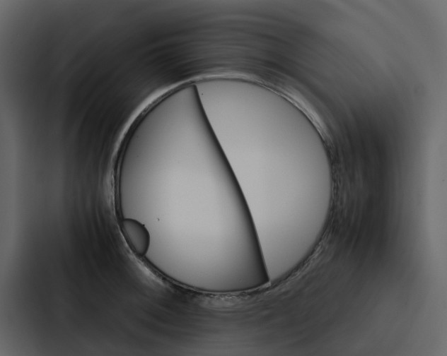 X0000088151092200705141046