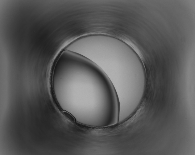 X0000088151093200705141046