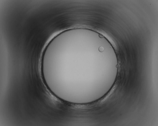 X0000088151094200705141046